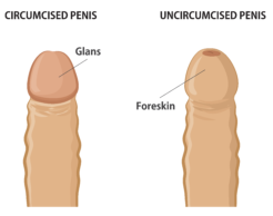 Circumcision Center